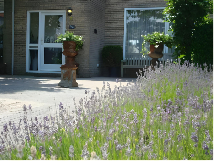 Others 4, B&B De Koog Texel, Texel
