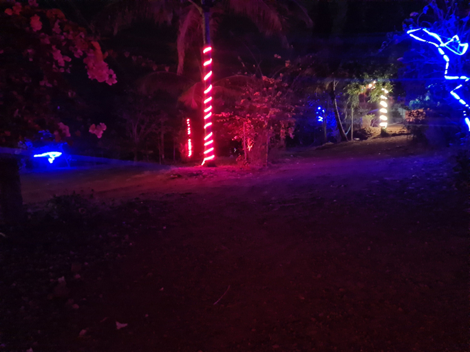 Others 5, Savli Farm's Nature Retreat & Adventures, Raigarh