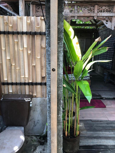 Bathroom 3, Omah Guyub, Bantul