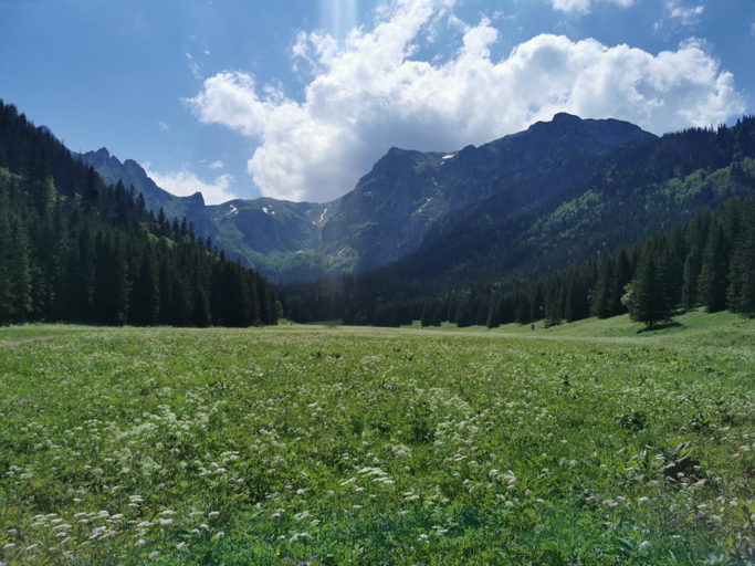 Others 3, Siedlisko Koscielisko, Tatra