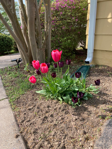 Others 5, Purcellville Home, Loudoun