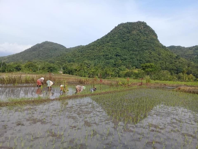 Others 2, Tado Homestay, West Manggarai