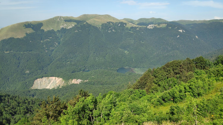 Surrounding environment