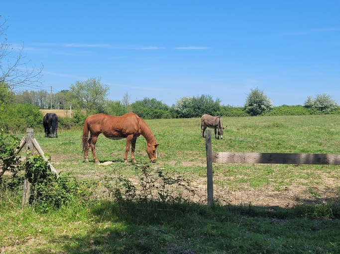 Others 4, Pey sud, Tarn-et-Garonne