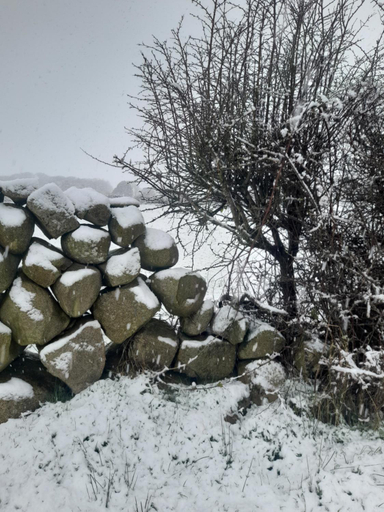 Others 2, Ballykeel Farm, Mourne Mountains, Newry, Mourne and Down