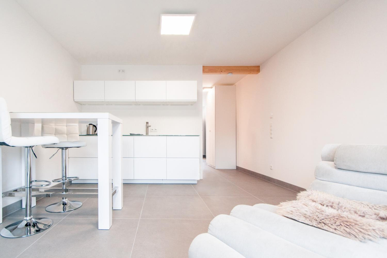 4, Brenzapartments Giengen, Heidenheim