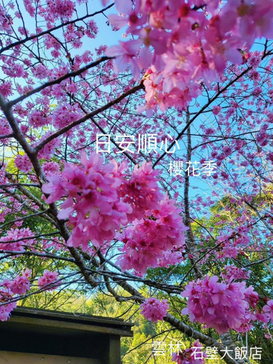 4, Shi Bi Hotel, Yulin
