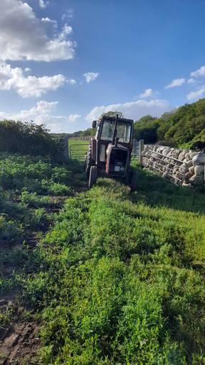 Others 3, Ballykeel Farm, Mourne Mountains, Newry, Mourne and Down