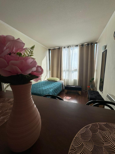 Others 2, Apartamentos Orquidea Suite, Santiago