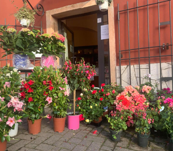 Finale Ligure Gorra Rooms Rosa di Mare vicino al mare lontano dal caos!, Savona