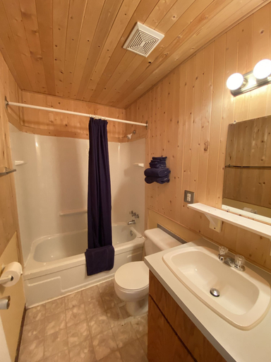 Bathroom 4, Shannon Motel, Northern Rockies