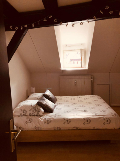 Bedroom 2, Le petit Colmarien hyper-centre, Haut-Rhin