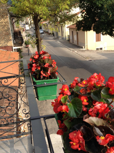 Others 2, B&B La Rosa, L'Aquila
