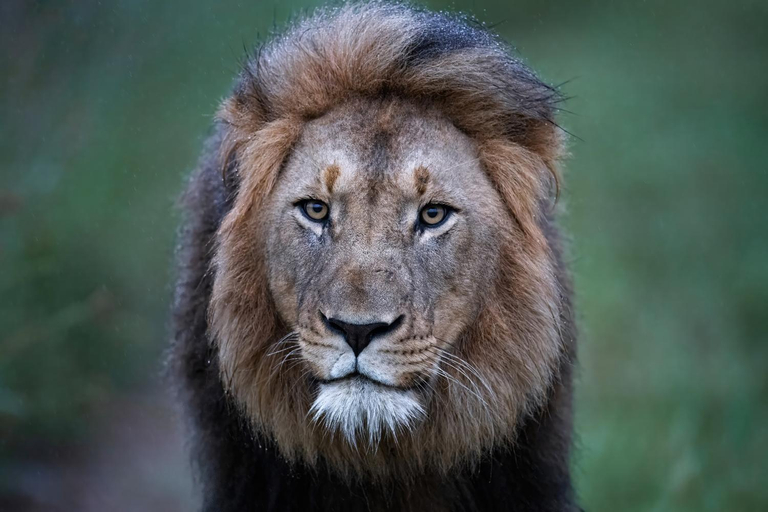 Others 4, Zulu Rock Lodge - Babanango Game Reserve, Zululand