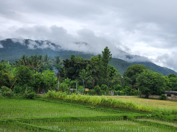 Scenery 15