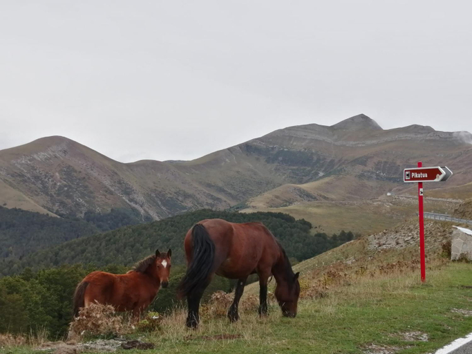 Others 5, Hostal Orialde, Navarra