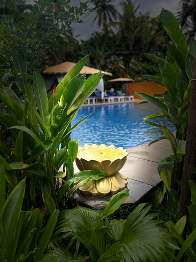 Sport & Beauty 3, juSTa Morjim Beach Resort - 80 steps from Morjim Beach, North Goa