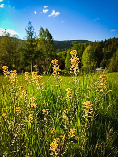 Others 4, Agroturystyka Gorski Wypoczynek, Sucha