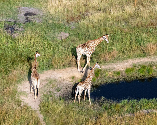 Others 5, Zulu Rock Lodge - Babanango Game Reserve, Zululand