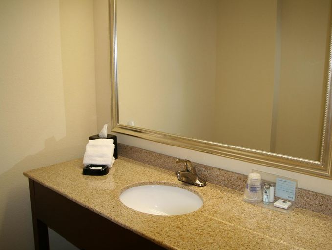 Bathroom, Aiken Midtown Hotel, Aiken