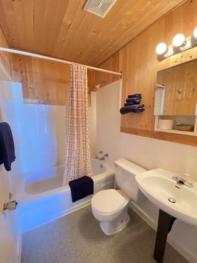 Bathroom 4, Shannon Motel, Northern Rockies
