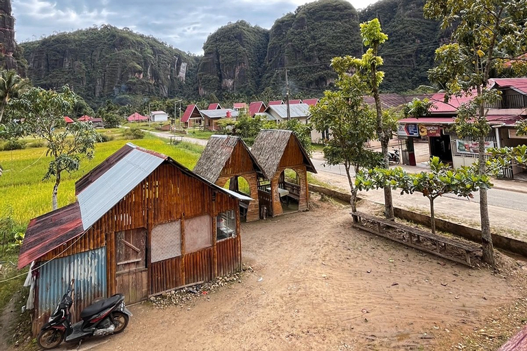 Homestay Wong Kito, Lima Puluh Kota