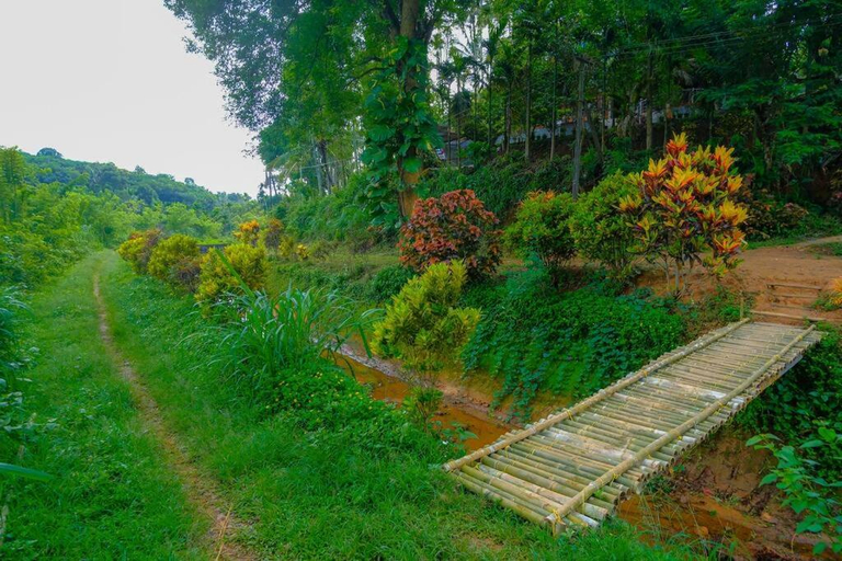 Others 3, Stay Nest Homestay, Wayanad