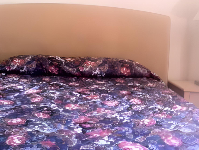 Bedroom, Sky Riders Motel, Sacramento