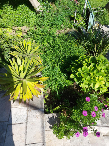 Garden 4, Apartments Iva