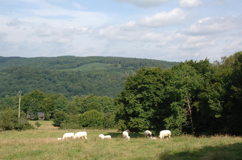 Others 5, Le Grandgousier Mirwart, Luxembourg