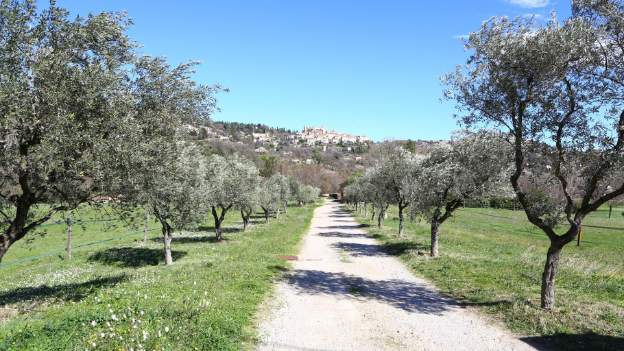Others 5, Domaine De Sainte Annette, Var