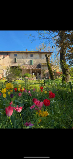Others 3, B&B Ostria Vento, Parma