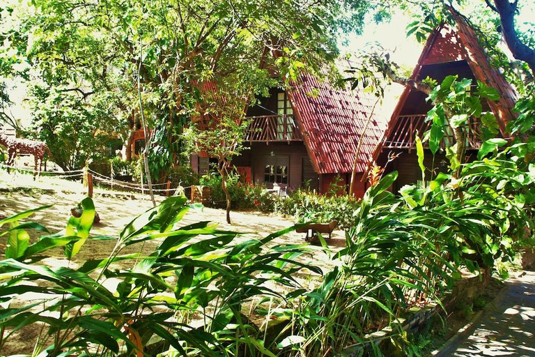 Scenery 12