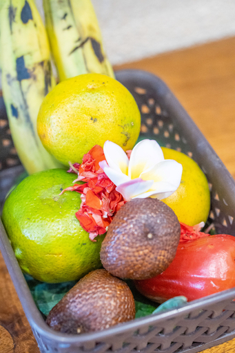 Larose Villas and Boutique Camp Canggu - Food & Drinks