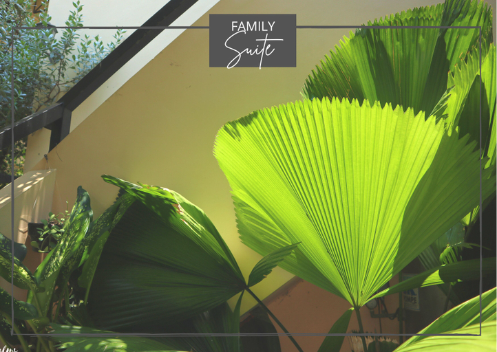 Exterior & Views 2, The Palms Resort & Bar, San Narciso