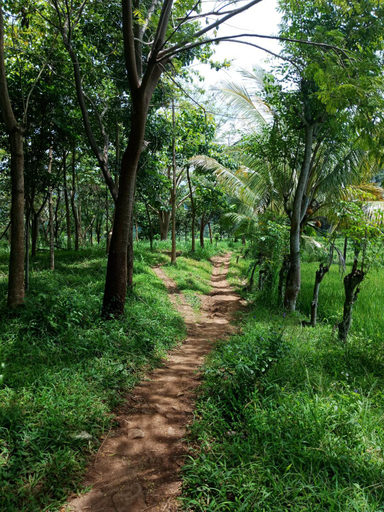Scenery 15