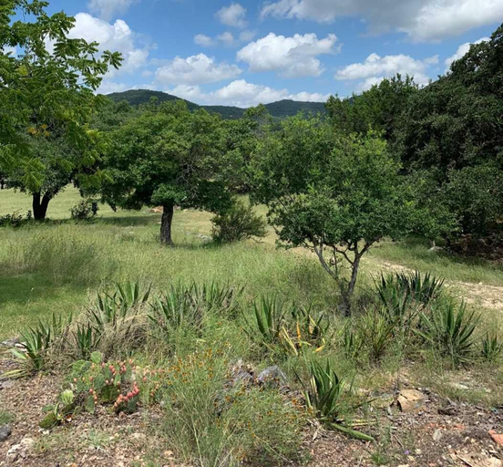 Others 5, Casitas at Madrona Ranch - Homestead, Bandera