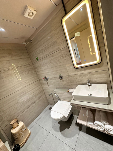 Bathroom 3, Hotel Fun Regency, Gandhinagar