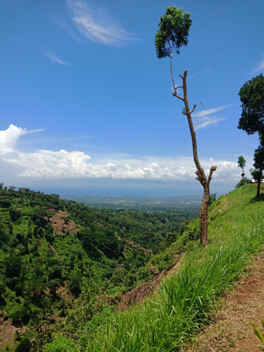 Scenery 14