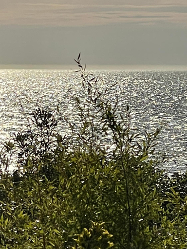 VILLA LA PLAGE, Calvados