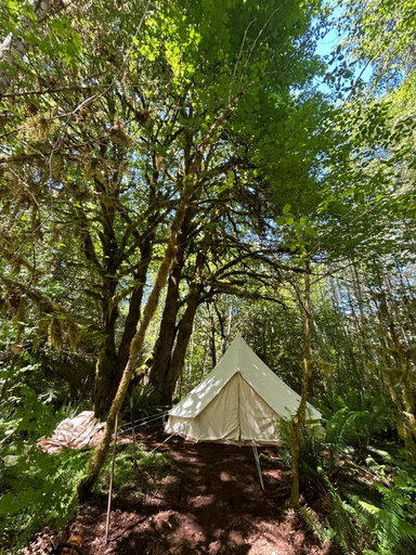 Olympic Glamping, Clallam