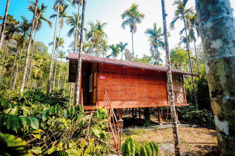 Exterior & Views 2, Tapasya Home, Kodagu
