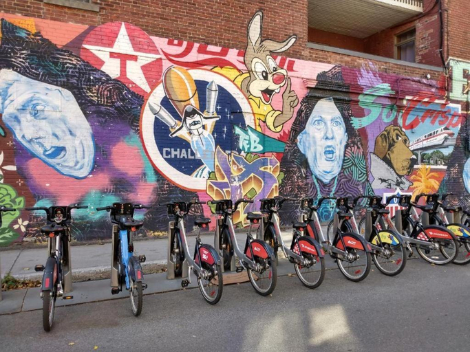 Sports and activities, Auberge PVT Hostel, Montréal