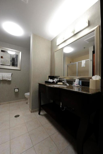 Bathroom 4, Hampton Inn & Suites By Hilton Craig, Moffat