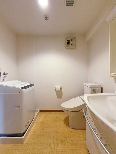 Bathroom 3, Grandeur Hamamoto 303, Hiroshima