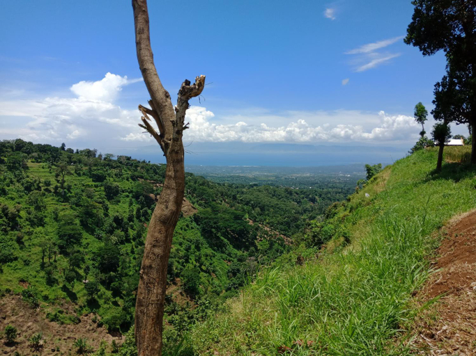 Scenery 5