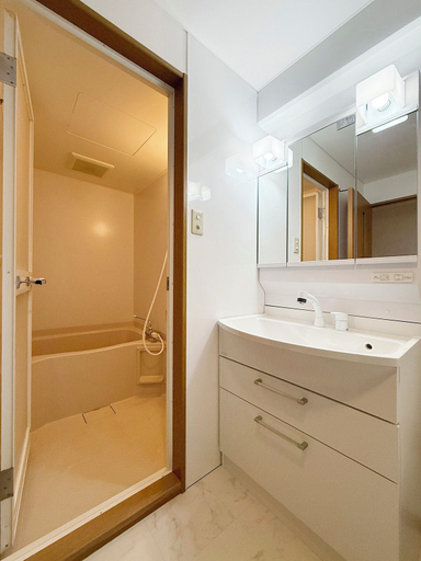 Bathroom 3, Grandeur Hamamoto 504, Hiroshima