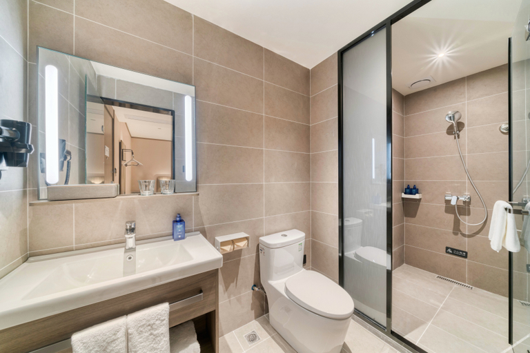 Bathroom 4, Hanting Hotel Ningbo Passenger Terminal Center, Ningbo
