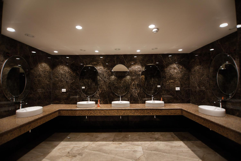Bathroom 3, Hotel The Roman Park , Durg