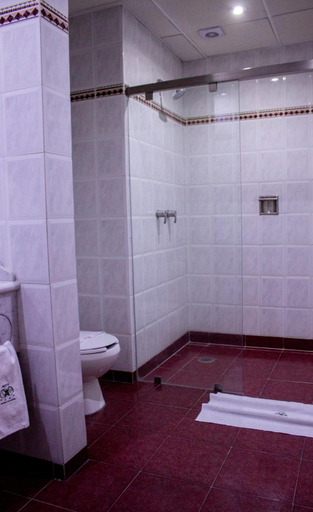 Bathroom 4, Hotel Ambos Mundos, Mexico City